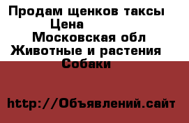 Продам щенков таксы › Цена ­ 3 000 - Московская обл. Животные и растения » Собаки   